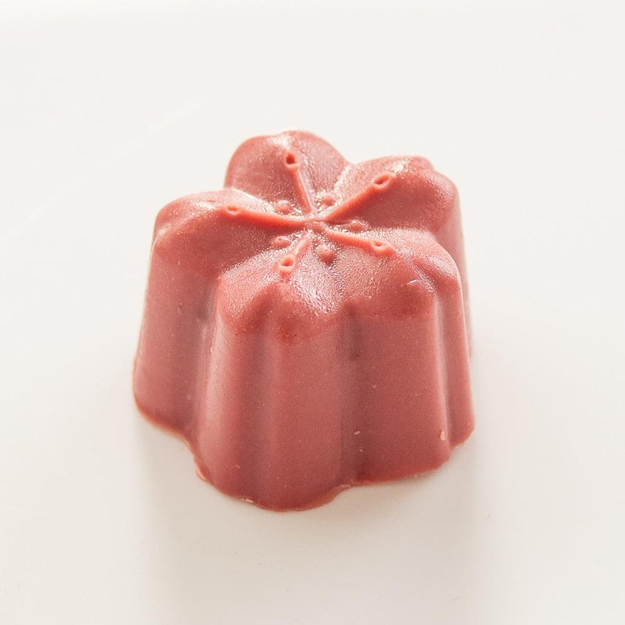 Sakura Cherry